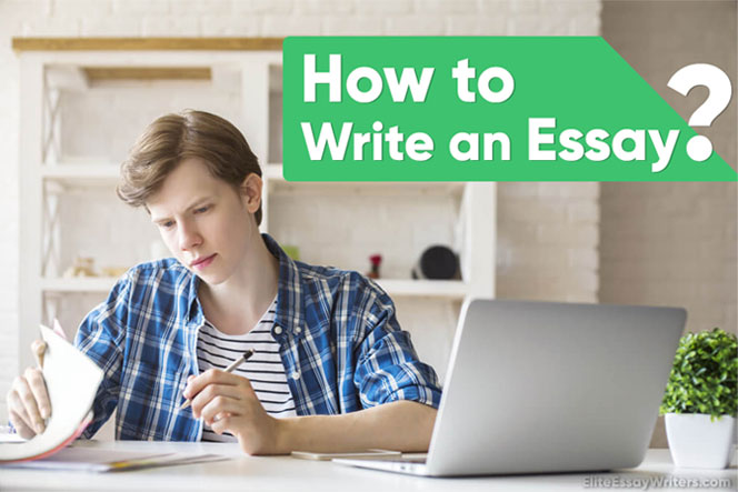 how to write an essay in a paper