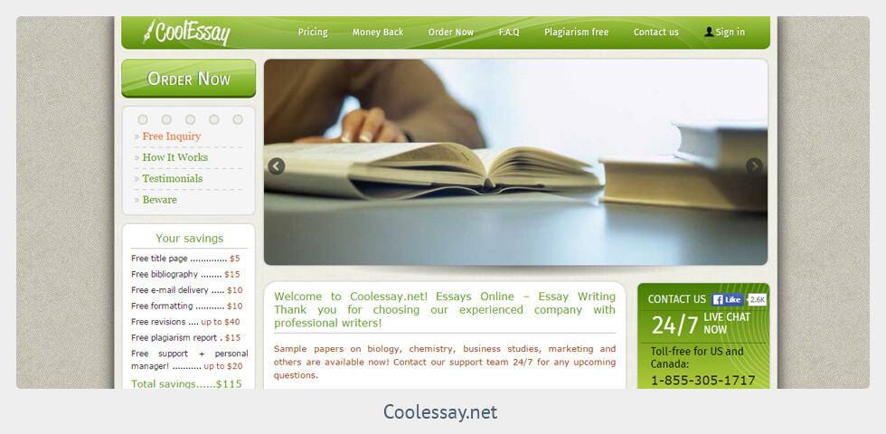 coolessay.net review