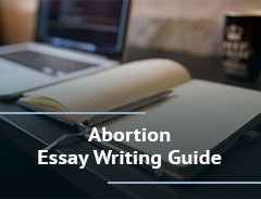 high school essay on abortion