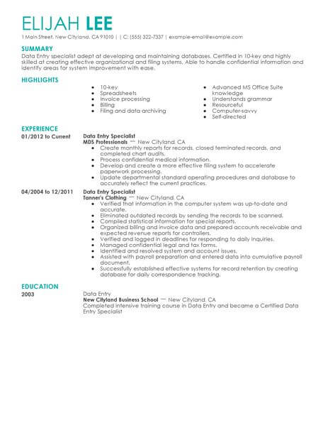 Best Data Entry Resume Example From Professional Resume Writing Service