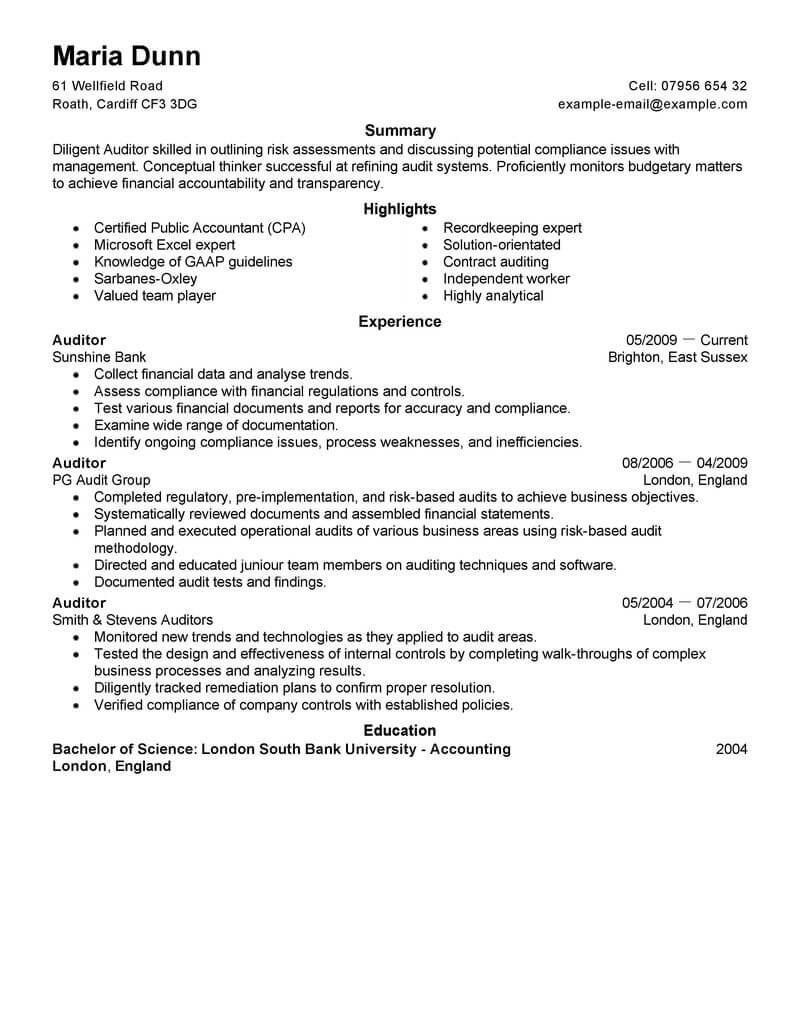 auditor work experience on resume