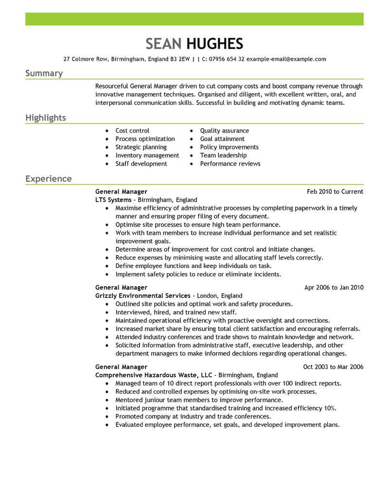 Manager Professional Summary For Resume