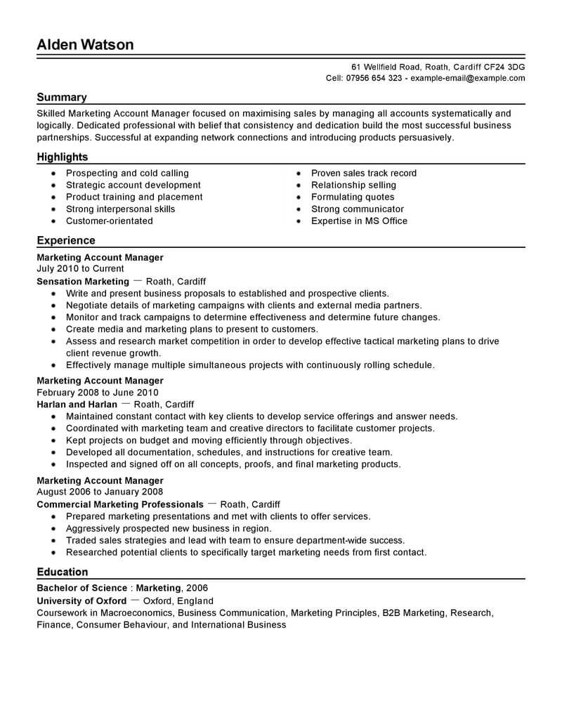 Accounts Manager Resume Profile