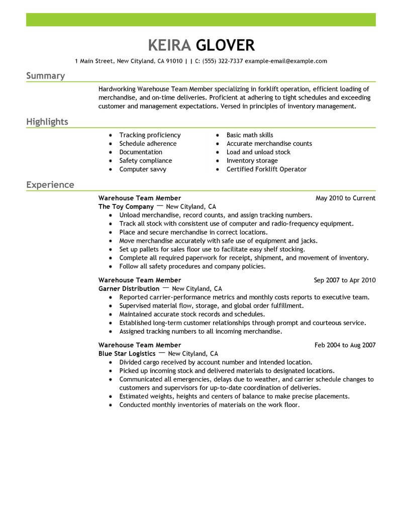 Best Team Members Resume Example From Professional Resume Writing Service