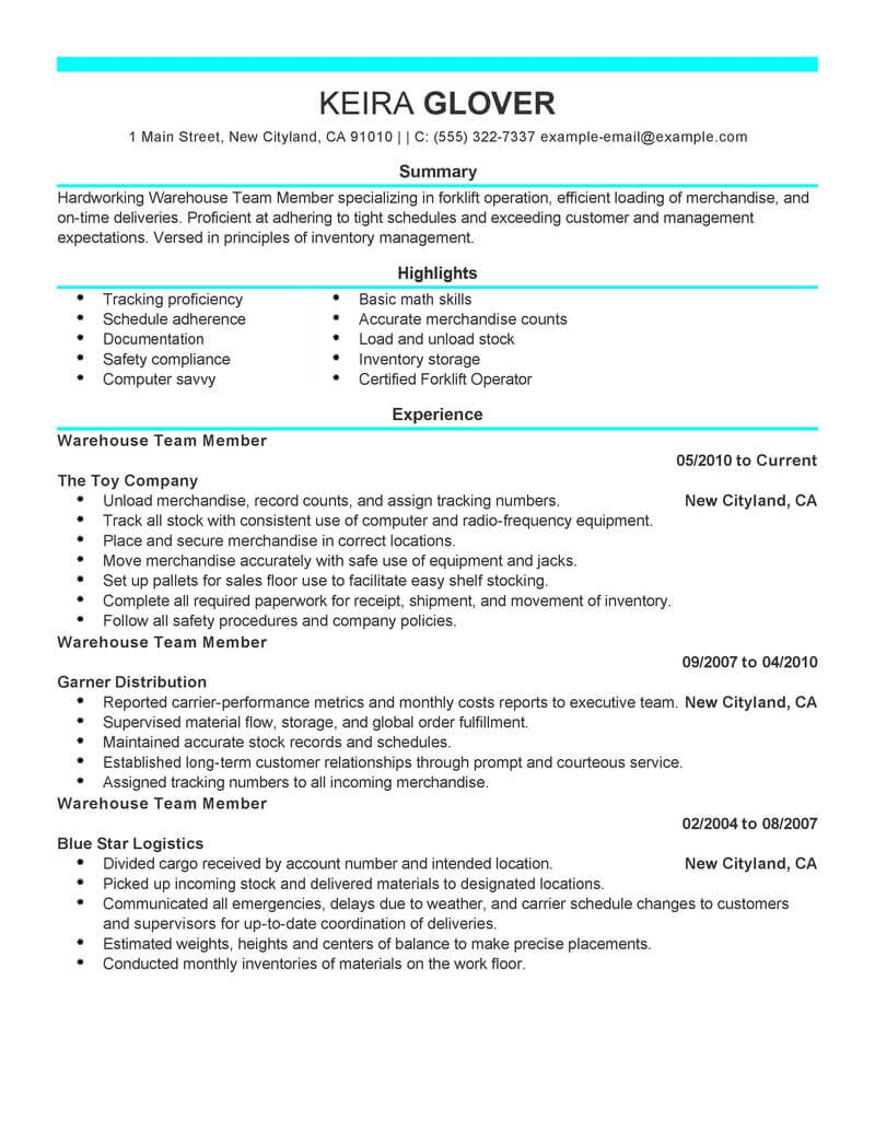 Best Team Members Resume Example From Professional Resume Writing Service